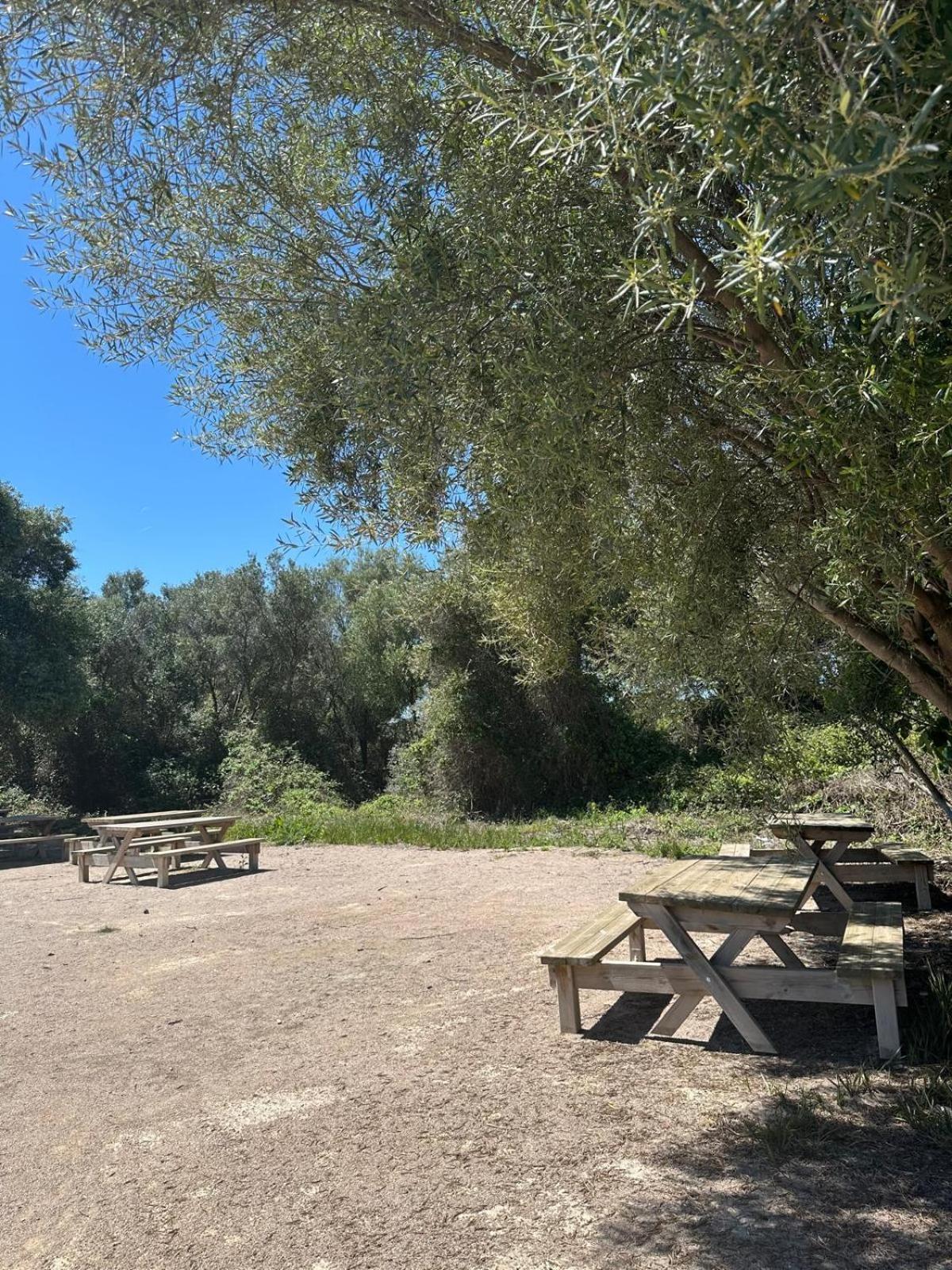 Apartamento Barbacoa, Piscina Y Playa Puebla de Farnals Extérieur photo